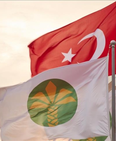 thumbs_b_c_4a315b4bbc43c1a360f31574ac9173c1