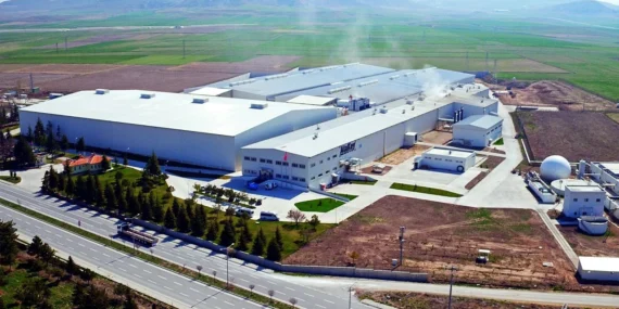Atakey Patates Hissesi Haziran Öncesi Kritik Bölgede