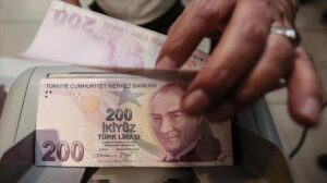 katılım ekonomisi liraa