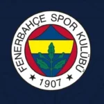 51-3