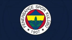 51-3
