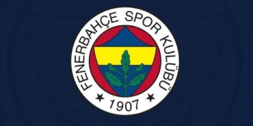 51-3