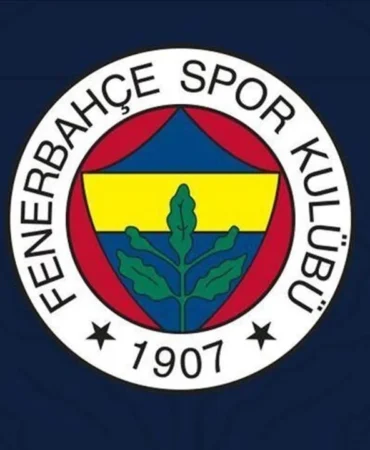 51-3