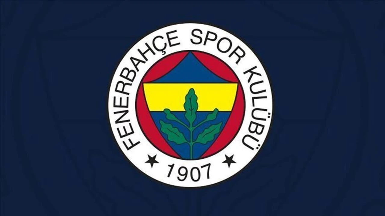 51-3